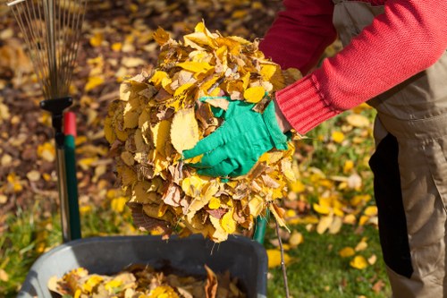 Environmental impact of improper furniture disposal